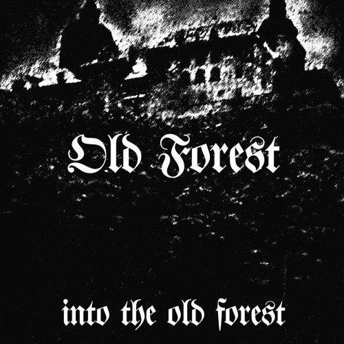 Old Forest  -  Into the Old Forest