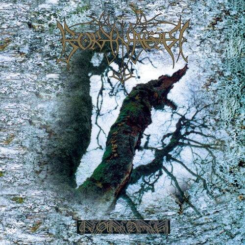 Borknagar - The Olden Domain (Color Viny)