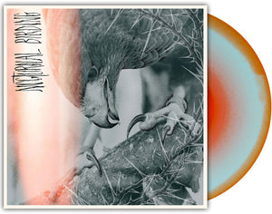 Author & Punisher - Nocturnal Birding (COLOR VINYL)