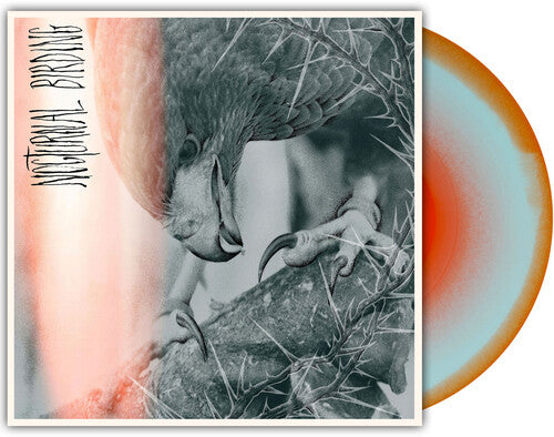 Author & Punisher - Nocturnal Birding (COLOR VINYL)