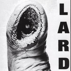 Lard - The Power Of Lard (Color Vinyl)
