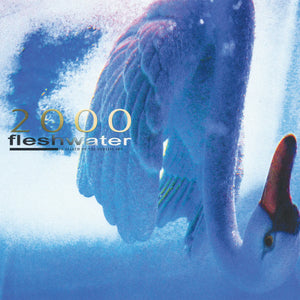 Fleshwater - 2000: In Search Of The Endless Sky (Color Vinyl)