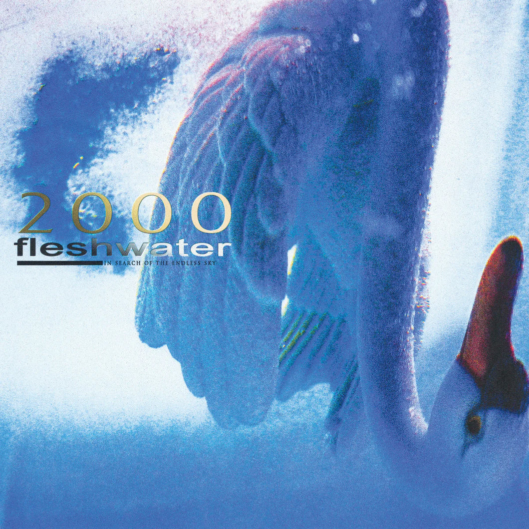 Fleshwater - 2000: In Search Of The Endless Sky (Color Vinyl)