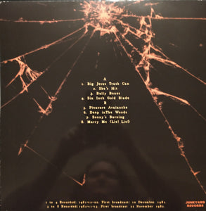 The Birthday Party – Peel Sessions Vol II