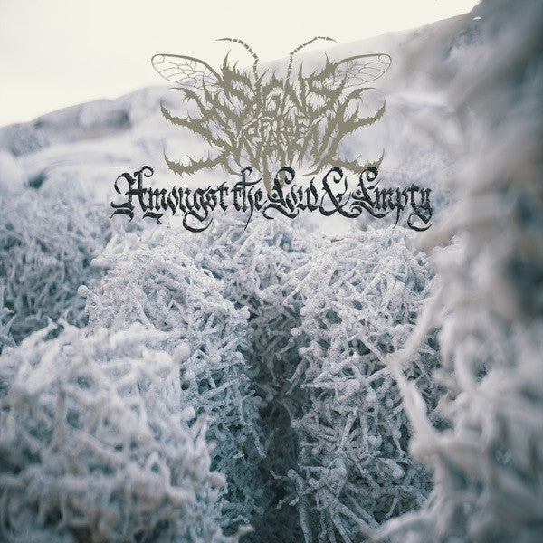 Signs Of The Swarm – Amongst The Low & Empty (Color Vinyl)