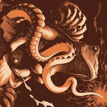 Load image into Gallery viewer, Boris - Amplifier Worship 25th Anniversary (Color Vinyl)
