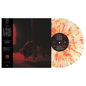 Knocked Loose – A Tear In The Fabric Of Life (COLOR VINYL)