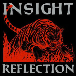 Insight - Reflection (COLOR VINYL)