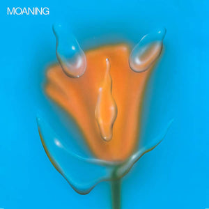 Moaning ‎– Uneasy Laughter