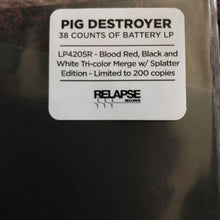 Load image into Gallery viewer, Pig Destroyer ‎– 38 Counts Of Battery
