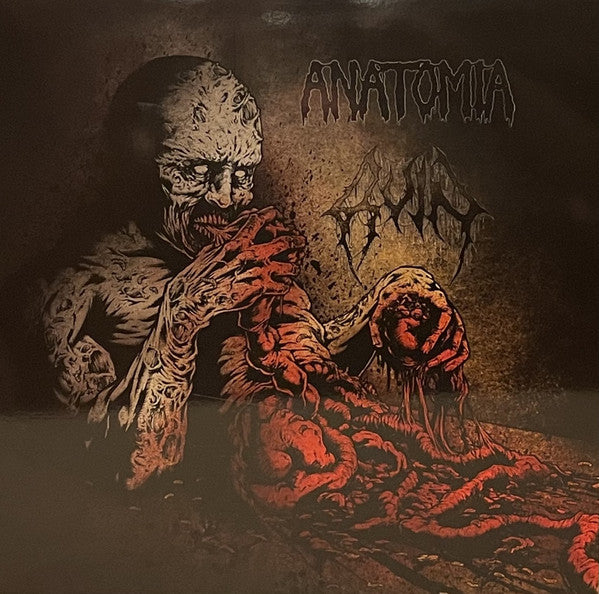 Anatomia/Ruin – Split LP